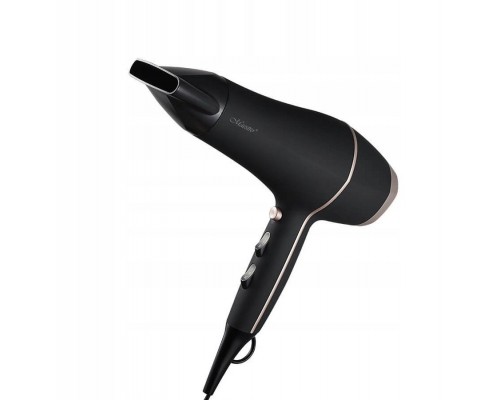 for hair 2400W MAESTRO MR-221