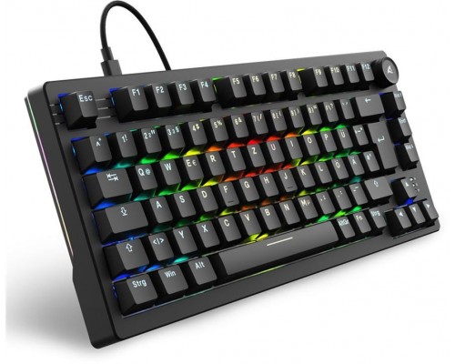 Sharkoon Gaming Keyboard Skiller SGK25 Black DE