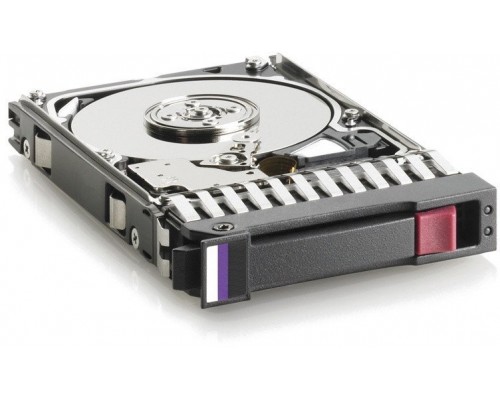 HP DRV, HD 300G SAS 2.5 DP V2.1