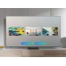 Samsung QE100QN80F QLED 100