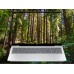 HP OmniBook 7 Laptop 16-az0220nw Intel Core 7 240H 40,6 cm (16") 2K 16 GB DDR5-SDRAM Wi-Fi 6E (802.11ax) Windows 11 Home