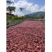 RWANDA MURAHO! Filter & Juicy Splash 1kg