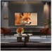 LG OLED48C54 OLED 48'' 4K Ultra HD WebOS 25
