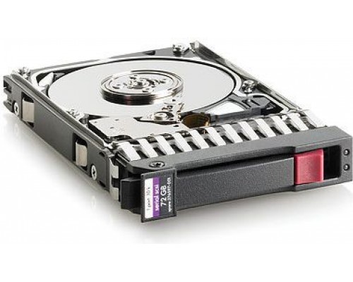 HP Midline 300GB 2.5'' SAS-1 (3Gb/s)  (627117B21)
