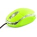 Esperanza Raptop (TM102G)