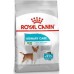 Royal Canin Royal Canin Mini Urinary Care karma dry for dogs adults races small ones do 10 kg z wrażliwym układem moczowym 3kg