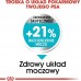 Royal Canin Royal Canin Mini Urinary Care karma dry for dogs adults races small ones do 10 kg z wrażliwym układem moczowym 3kg