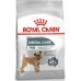 Royal Canin Royal Canin Mini Dental Care karma dry for dogs adults races small ones do 10 kg higiena zębów 3kg