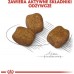 Royal Canin Royal Canin Mini Dental Care karma dry for dogs adults races small ones do 10 kg higiena zębów 3kg
