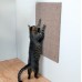 Trixie Drapak, 50 × 70 cm