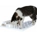 Trixie Cat Activity Fun Board, 30 × 40 cm