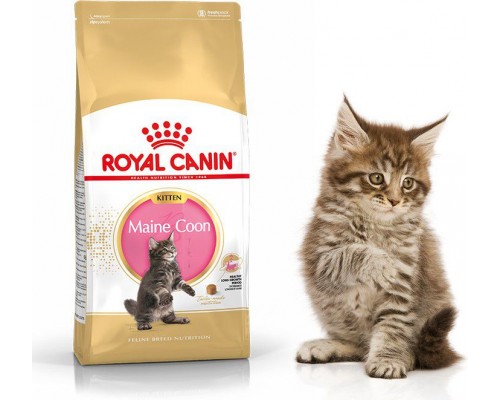 Royal Canin Maine Coon Kitten 2 kg