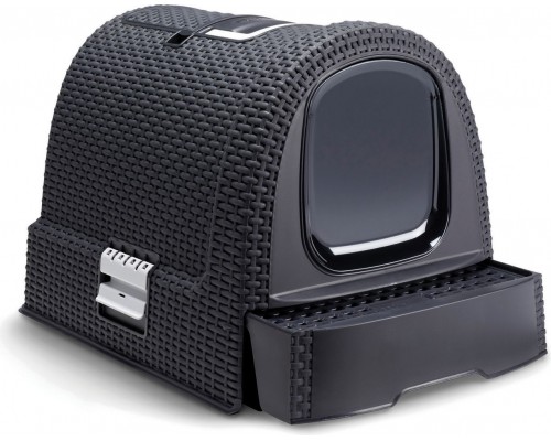 Curve TOILET CAT ANTHRACITE