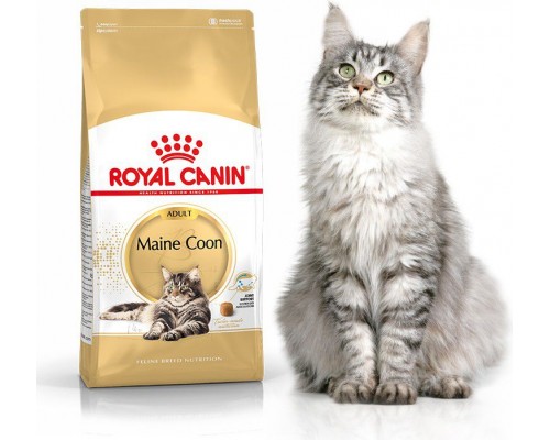 Royal Canin Maine Coon 4 kg