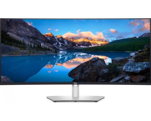 Dell UltraSharp U4021QW (210-AYJF)