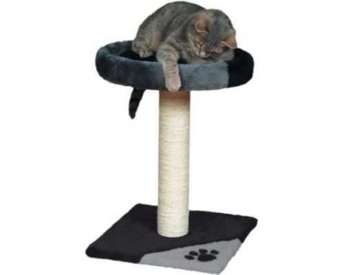 Trixie GRAY / BLACK CATHOLE "TARIFA"