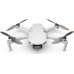 Drons DJI Mini 2