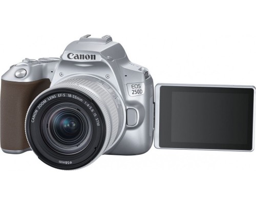 Canon EOS 250D EF/EF-S 18-55 mm f/4-5.6 IS STM Silver