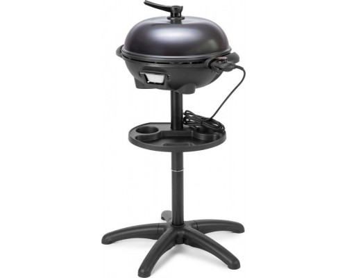 Fieldmann FZG 2005-E 31 cm grate