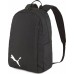 Puma Team Goal 23 Black