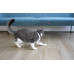 Cheerble KiTiDOT Laser Cat Collar