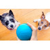 Cheerble Interactive ball for dogs and cats W1 (blue)