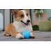 Cheerble Interactive ball for dogs and cats W1 (blue)