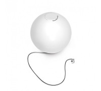 Homerunpet TB10 Smart play ball for dog/cat