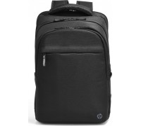 HP Professional 17.3" (500S6AA)