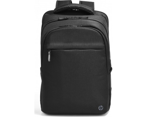 HP Professional 17.3" (500S6AA)
