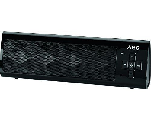 AEG BSS 4818 speaker