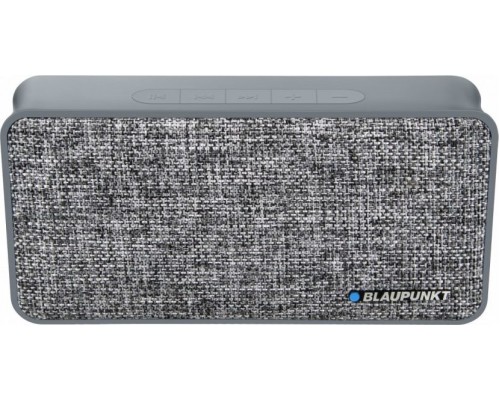 Blaupunkt BT13GY speaker