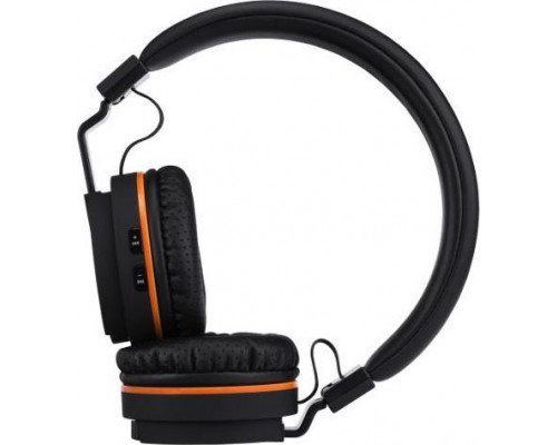 BML headphones BML H-series H9 headphones