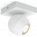 Philips Hue lamp Buckram 1x5,5W (8718696164181)