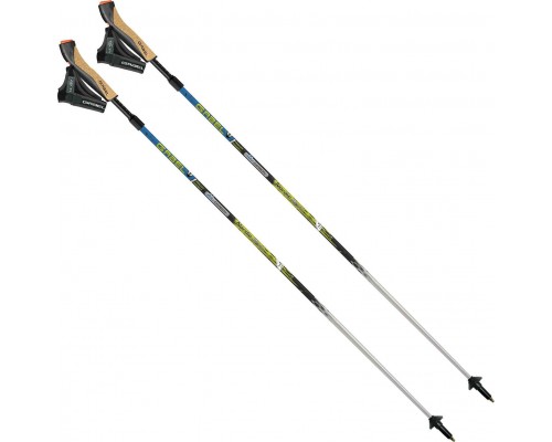 Gabel Nordic-Revo A.I. Alu Carbon 105-130cm