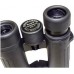 Braun Compagno 8x34 WP (20002)