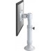 Newstar 10-30" (FPMA-D025SILVER)