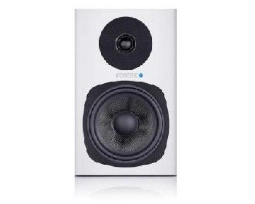 Fostex white (piece) (PM0.5d)
