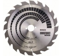 Bosch  Construct Wood 250 x 30mm 20z (2608641774)