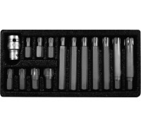 Proline 3/8" 1/2" Ribe Torx 42 (10747)