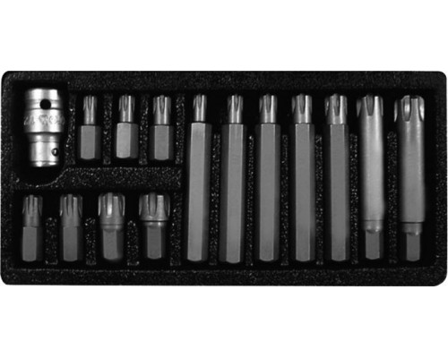 Proline 3/8" 1/2" Ribe Torx 42 (10747)