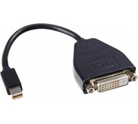 Lenovo DisplayPort Mini - DVI-D 0.2m