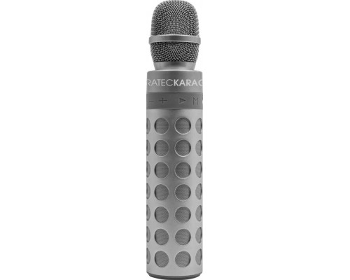 TerraTec Karaoke-Mikrofon mit Lautspercher silber - 105260