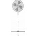 Botti FS-16D Steller