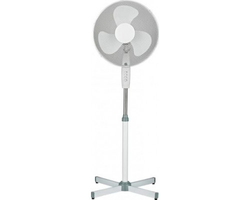 Sanico ZF4009WL