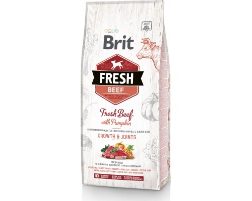 Brit Fresh Beef With Pumpkin Puppy Large 2.5kg